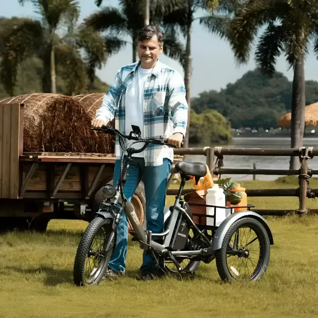 1753532112-1 (18) Fafrees F20 Mate hopfällbar elektrisk cykel - Bilde 1